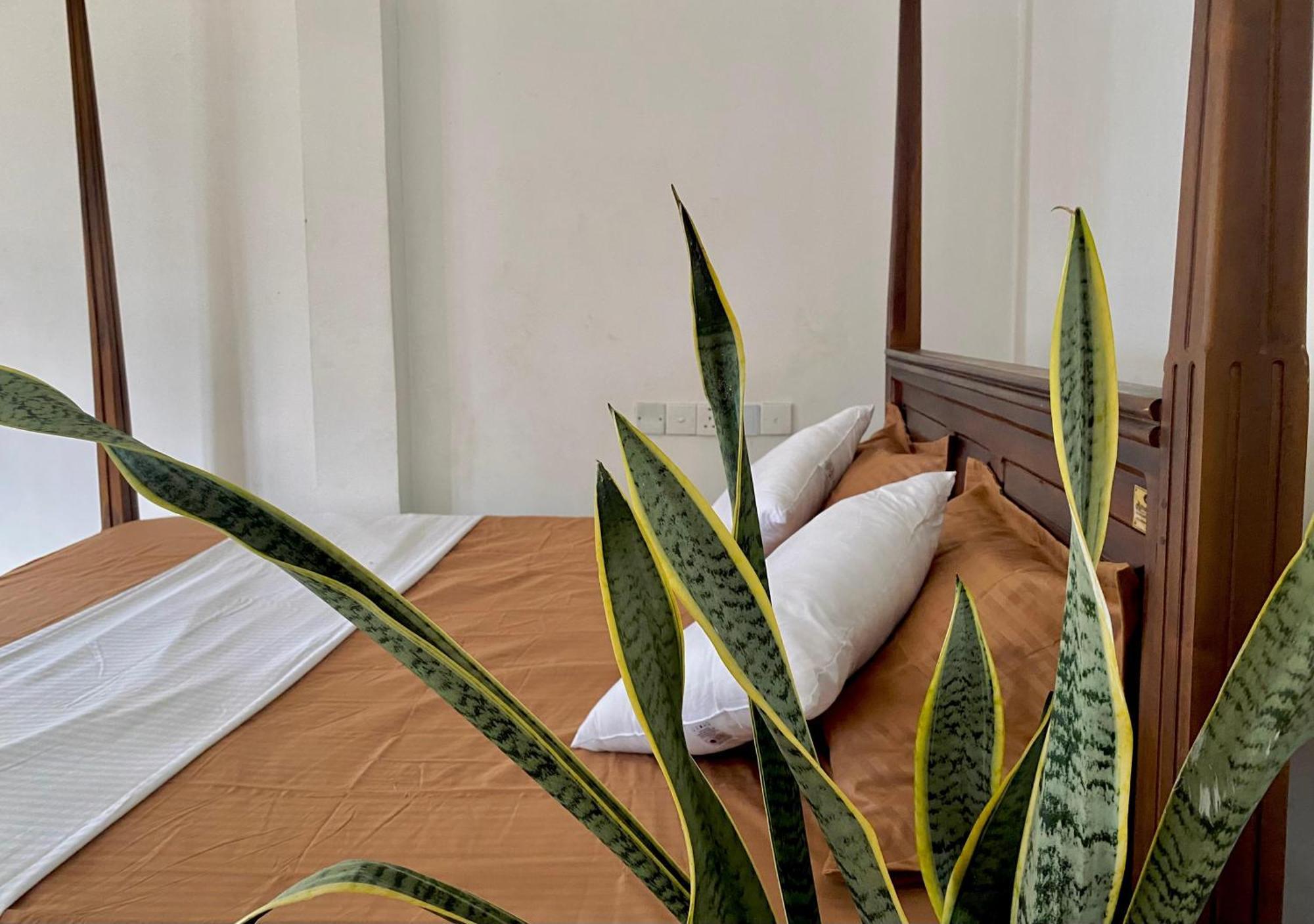Sasmika Villa Surf And Yoga Hostel Weligama Eksteriør billede